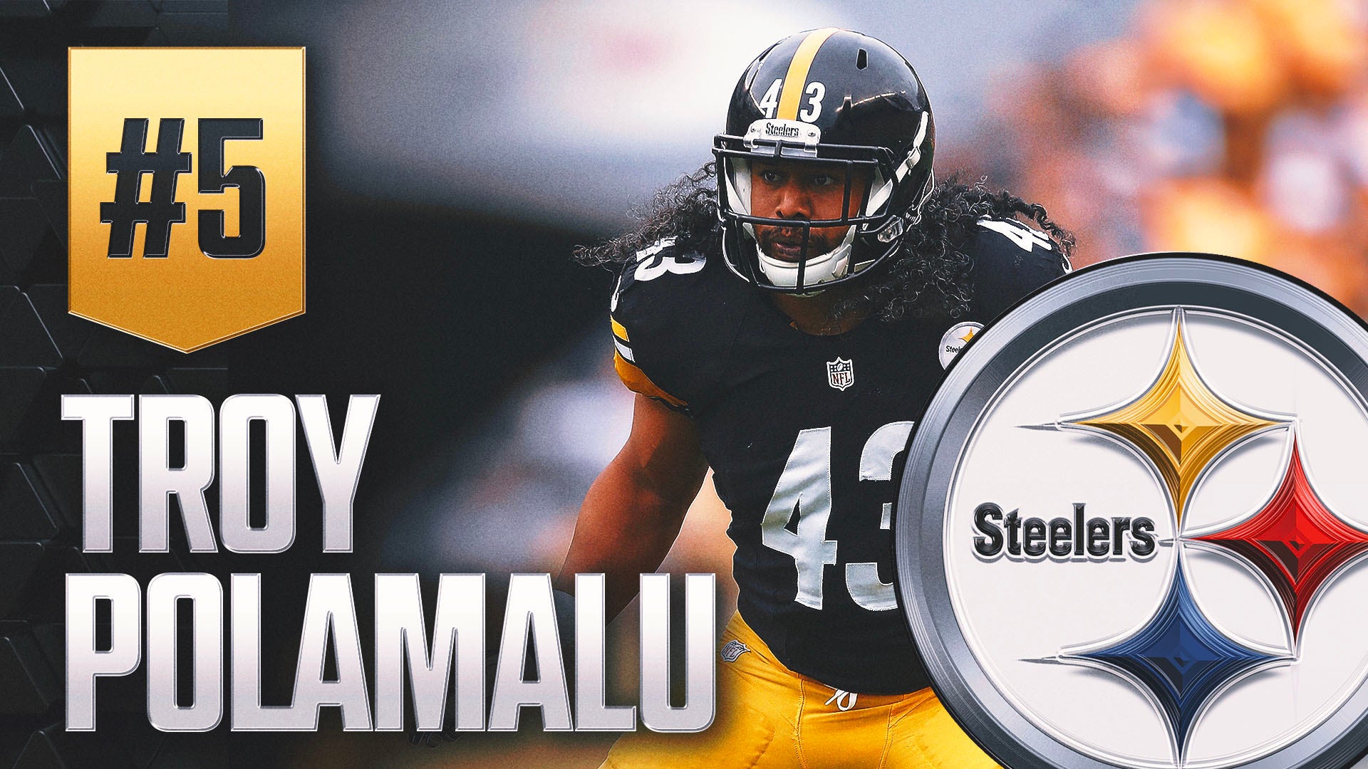 Troy Polamalu image